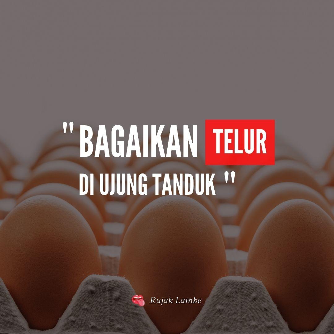 Arti Peribahasa Bagaikan Telur Di Ujung Tanduk Maestro Media