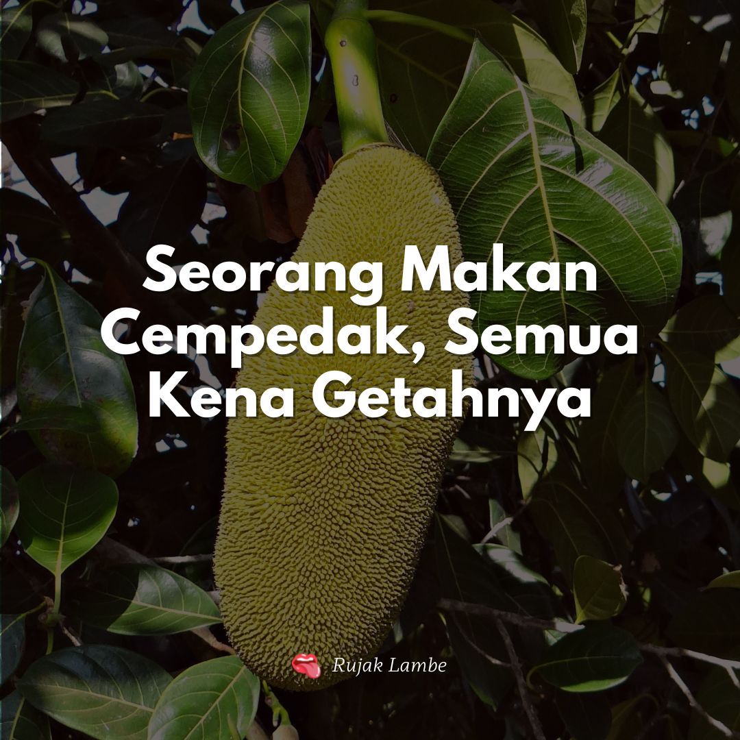 Arti Peribahasa Seorang Makan Cempedak, Semua Kena Getahnya - Maestro Media