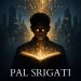 Pal Srigati - Digital Mantra